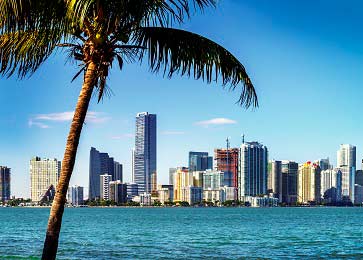 sugar daddy Miami